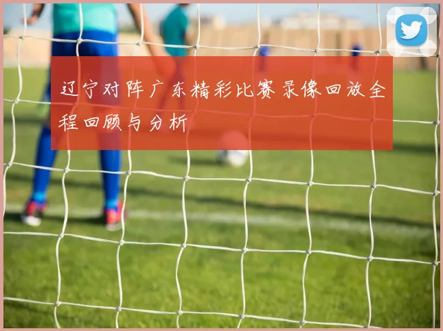 辽宁对阵广东精彩比赛录像回放全程回顾与分析