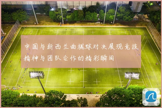 中国与新西兰曲棍球对决展现竞技精神与团队合作的精彩瞬间