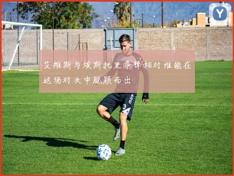 艾维斯与埃斯托里争锋相对谁能在这场对决中脱颖而出