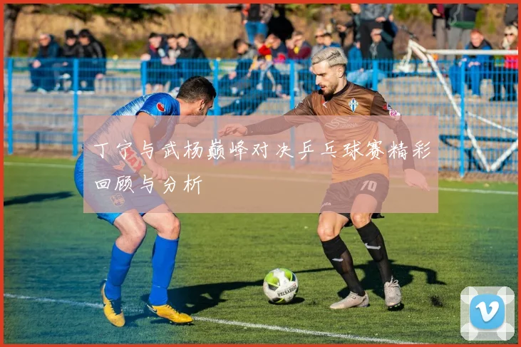 丁宁与武杨巅峰对决乒乓球赛精彩回顾与分析